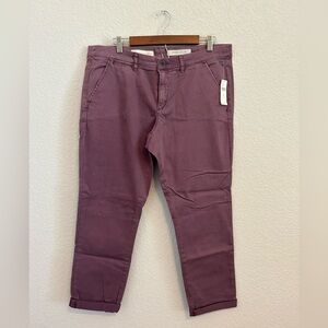 NWT Anthropologie Pilcro and the Letterpress women’s Hyphen pants size 32